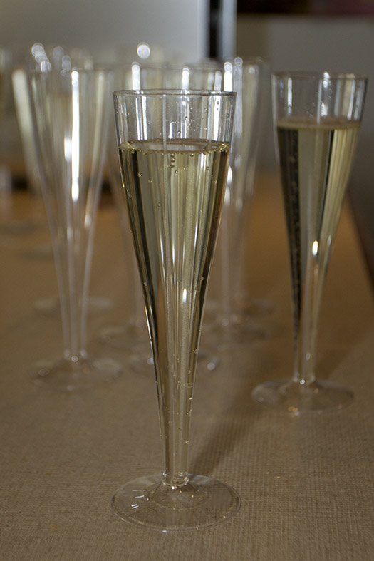 IMG 7084